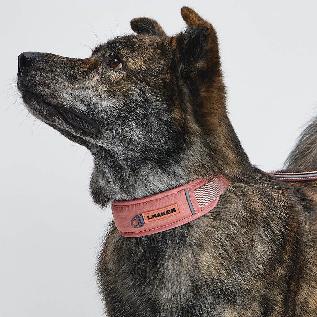 ※予約販売【munikund】TREKTAIL Collar - Pink
