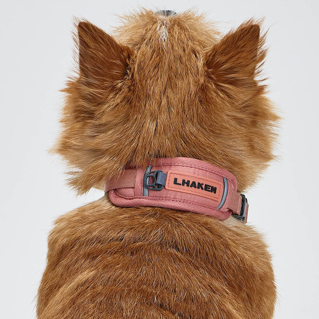 ※予約販売【munikund】TREKTAIL Collar - Pink