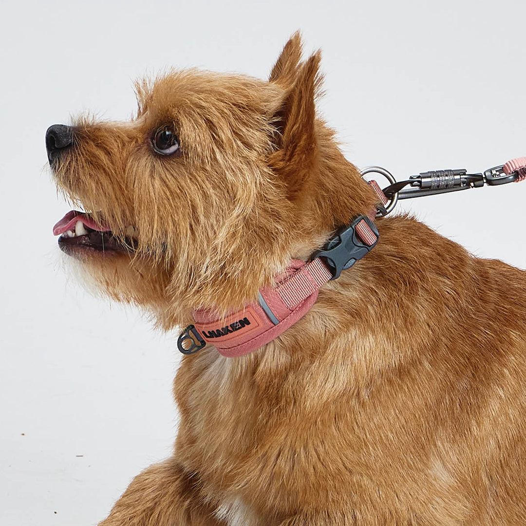 ※予約販売【munikund】TREKTAIL Collar - Pink
