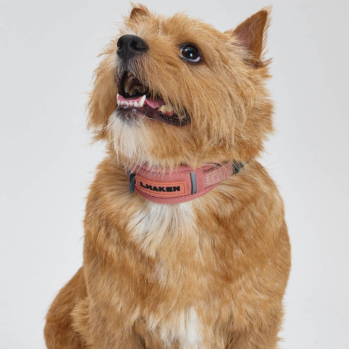 ※予約販売【munikund】TREKTAIL Collar - Pink