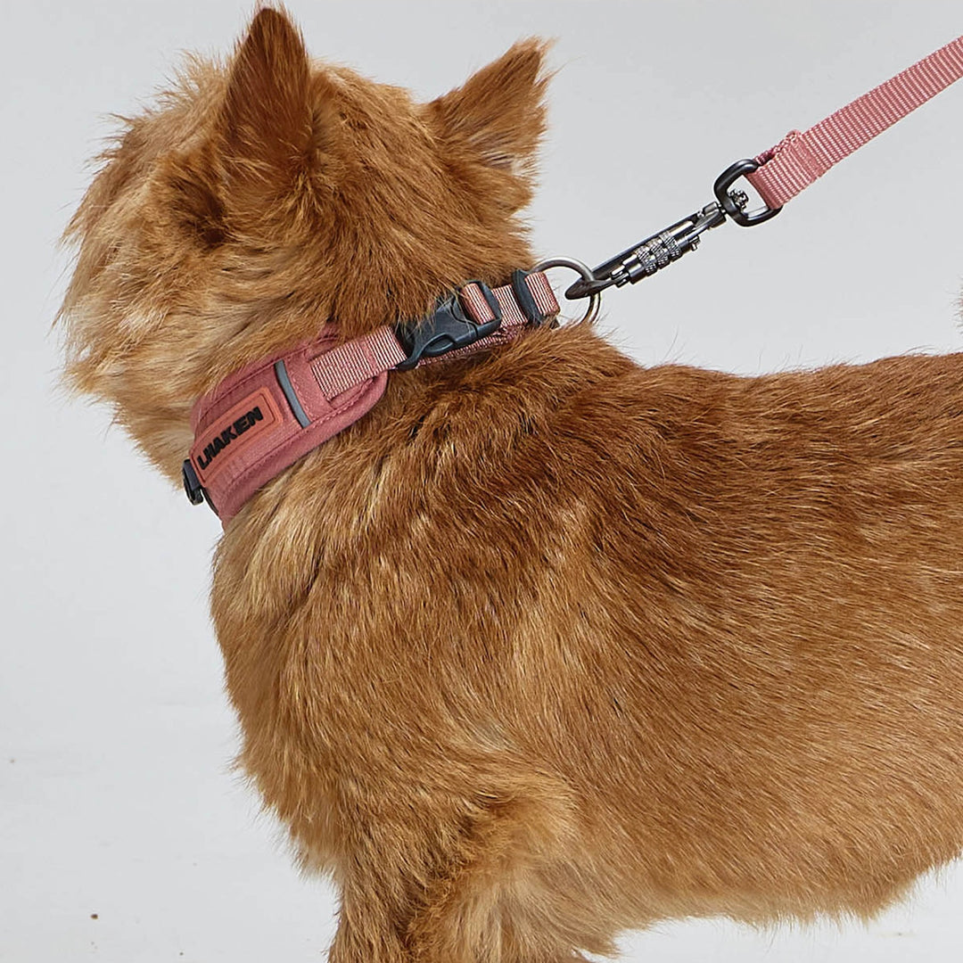 ※予約販売【munikund】TREKTAIL Collar - Pink