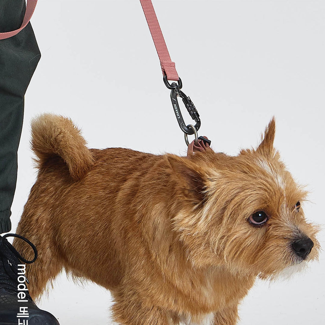 ※予約販売【munikund】TREKTAIL Collar - Pink