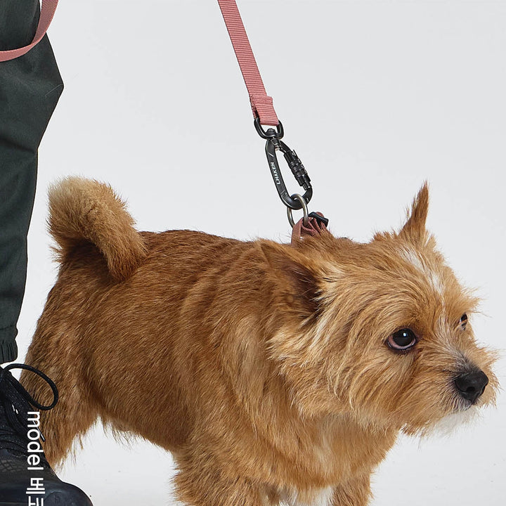 ※予約販売【munikund】TREKTAIL Collar - Pink