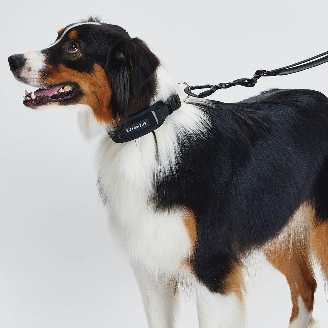 ※予約販売【munikund】TREKTAIL Collar - Black