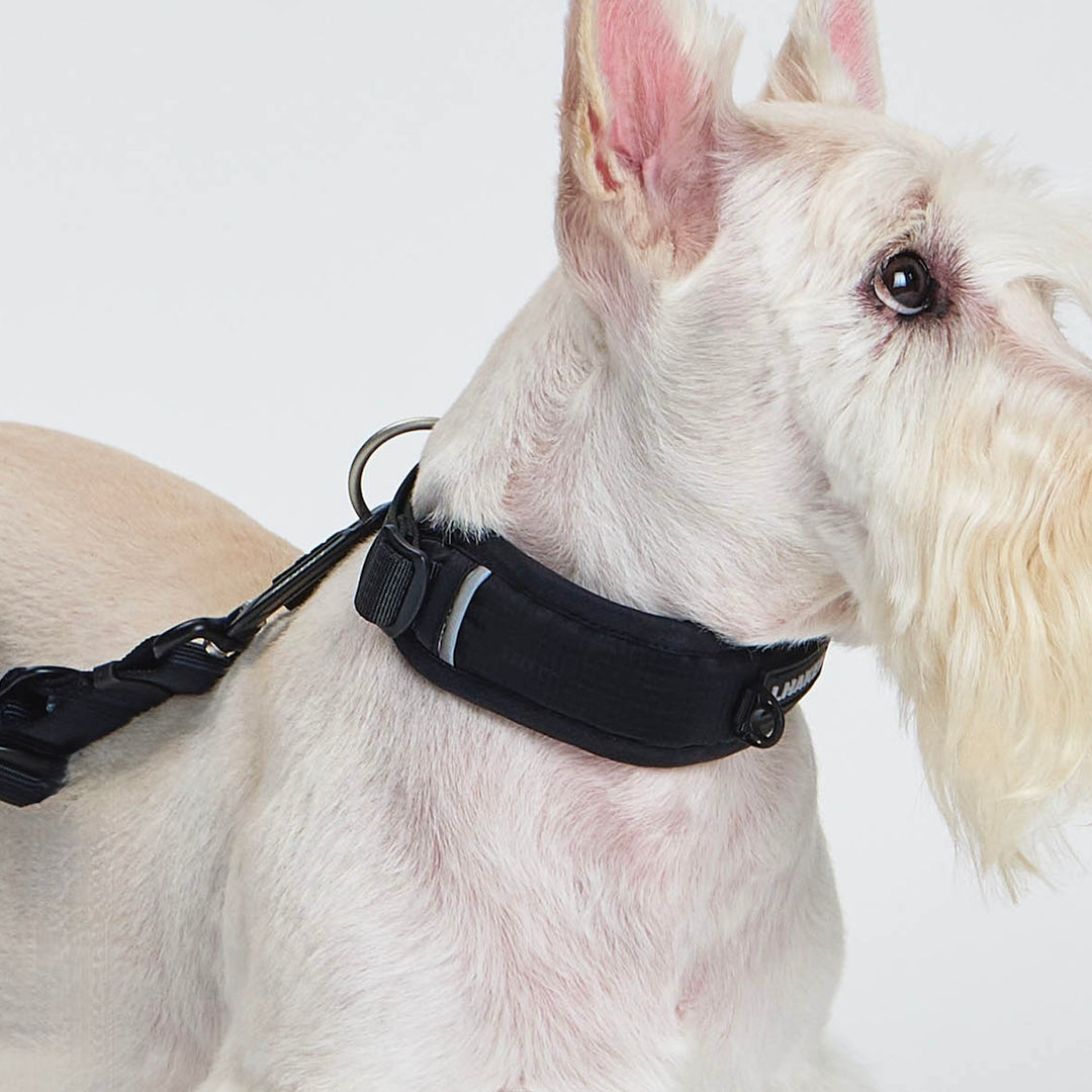 ※予約販売【munikund】TREKTAIL Collar - Black