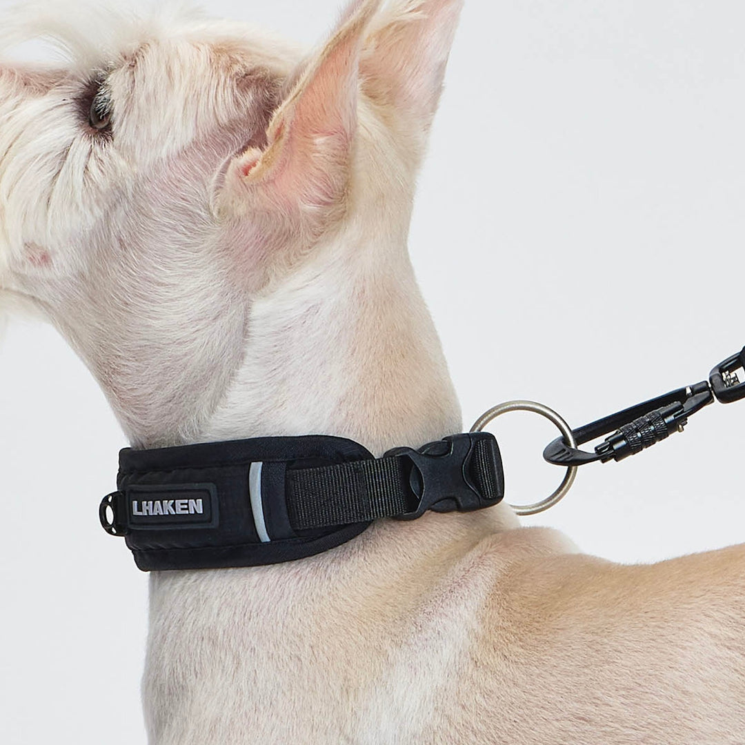 ※予約販売【munikund】TREKTAIL Collar - Black