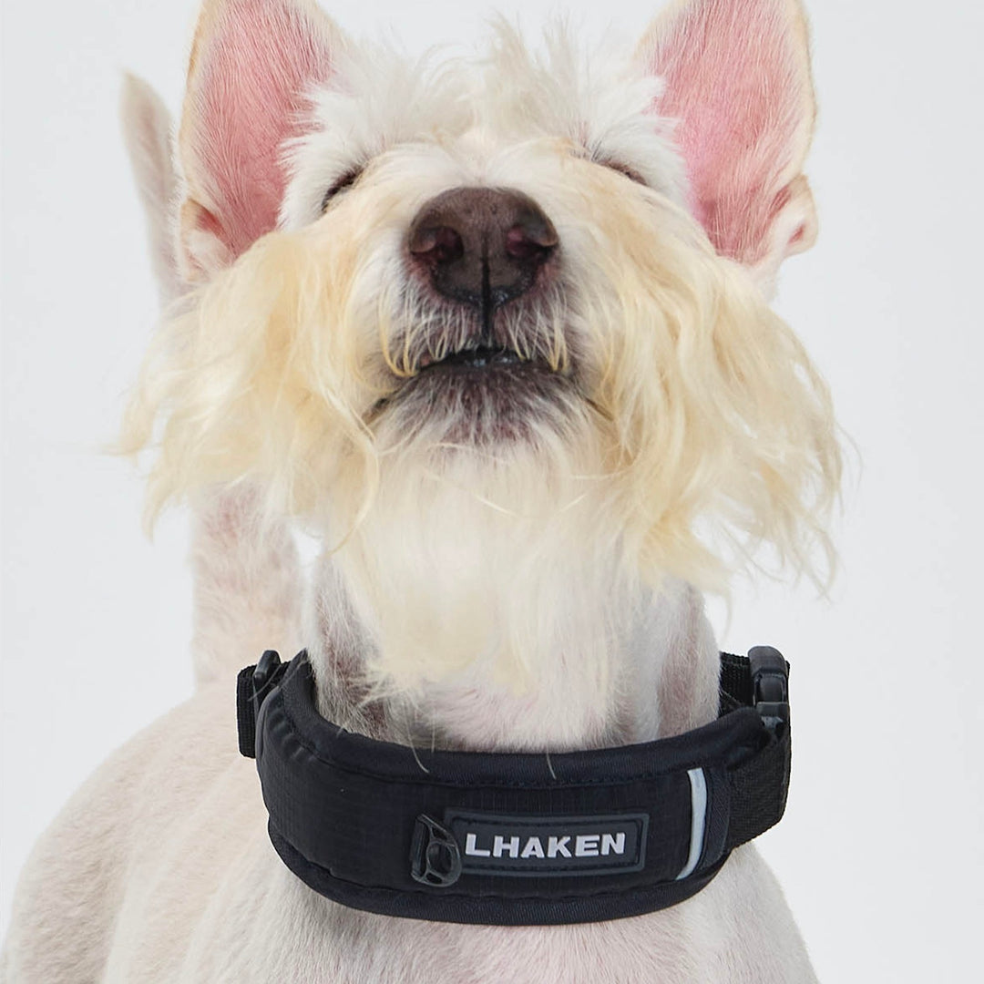 ※予約販売【munikund】TREKTAIL Collar - Black