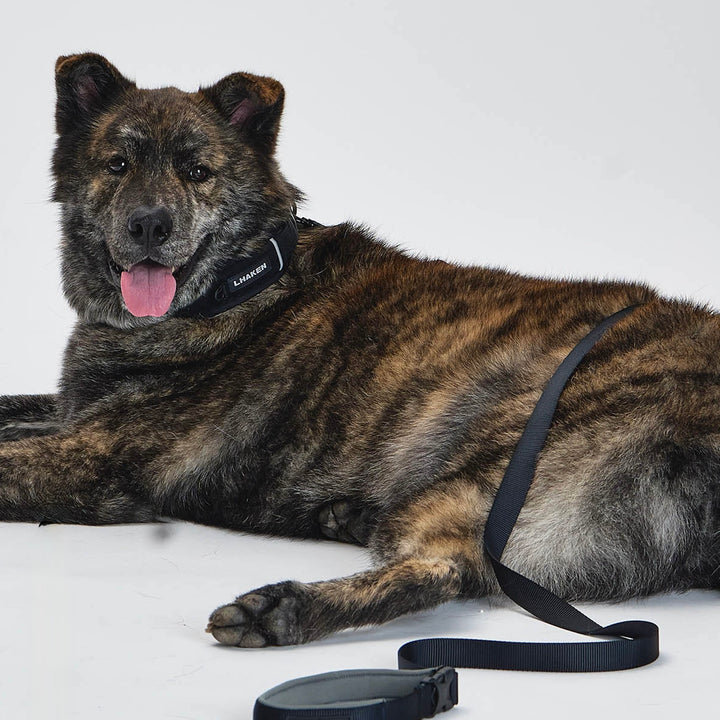 ※予約販売【munikund】TREKTAIL Collar - Black