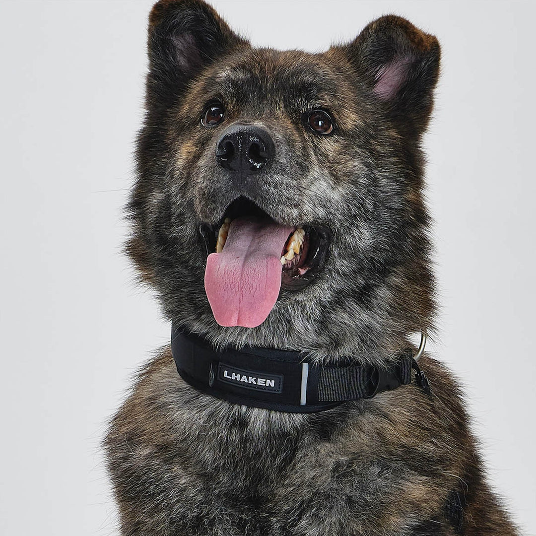 ※予約販売【munikund】TREKTAIL Collar - Black