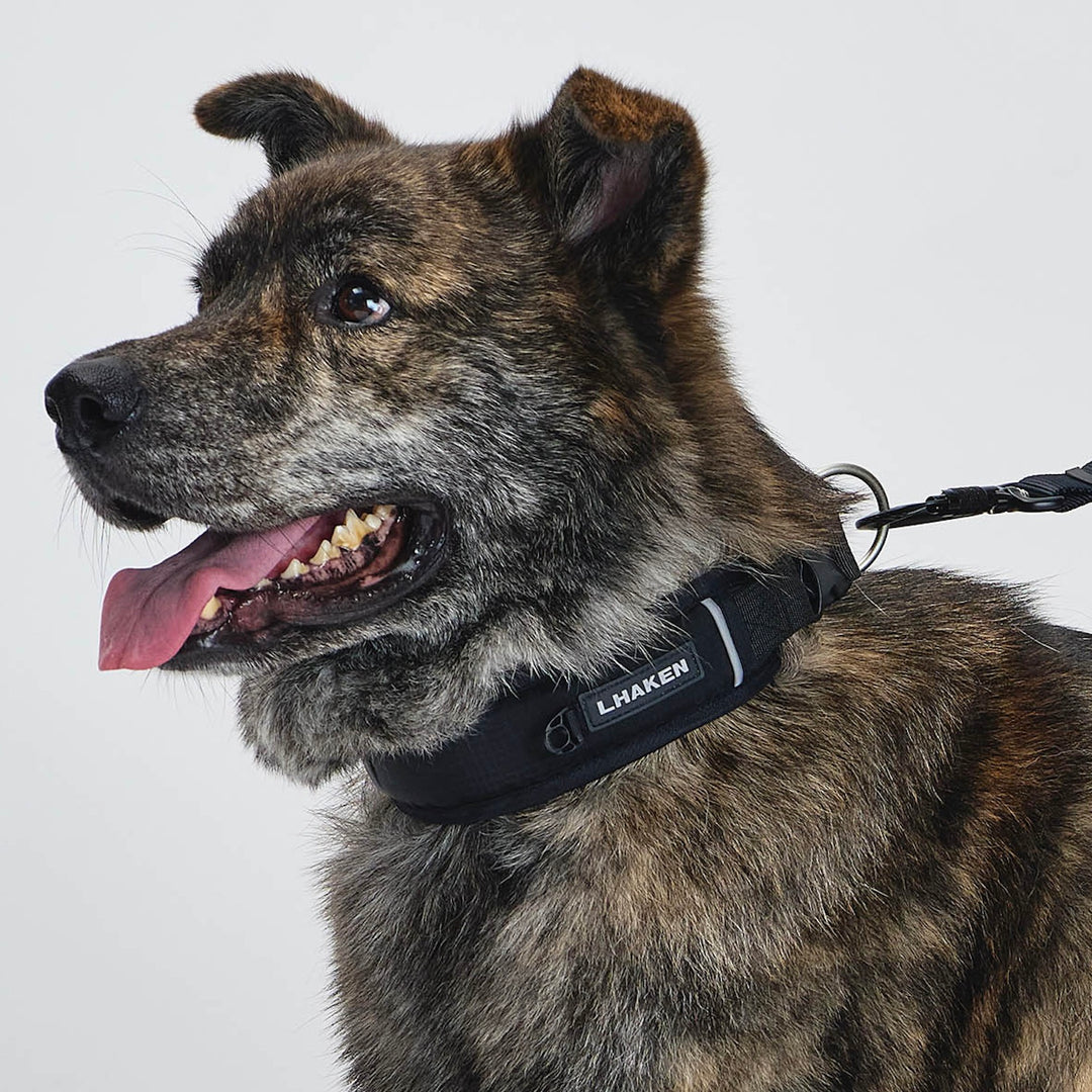 ※予約販売【munikund】TREKTAIL Collar - Black