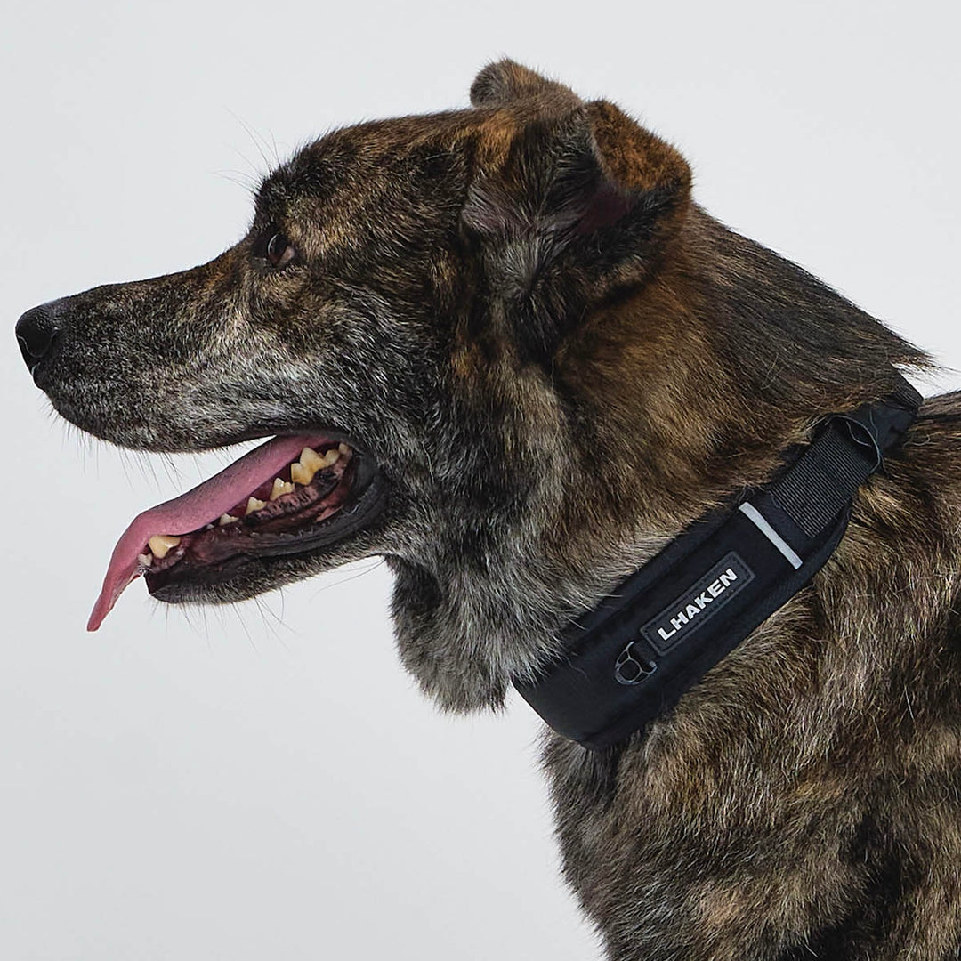 ※予約販売【munikund】TREKTAIL Collar - Black
