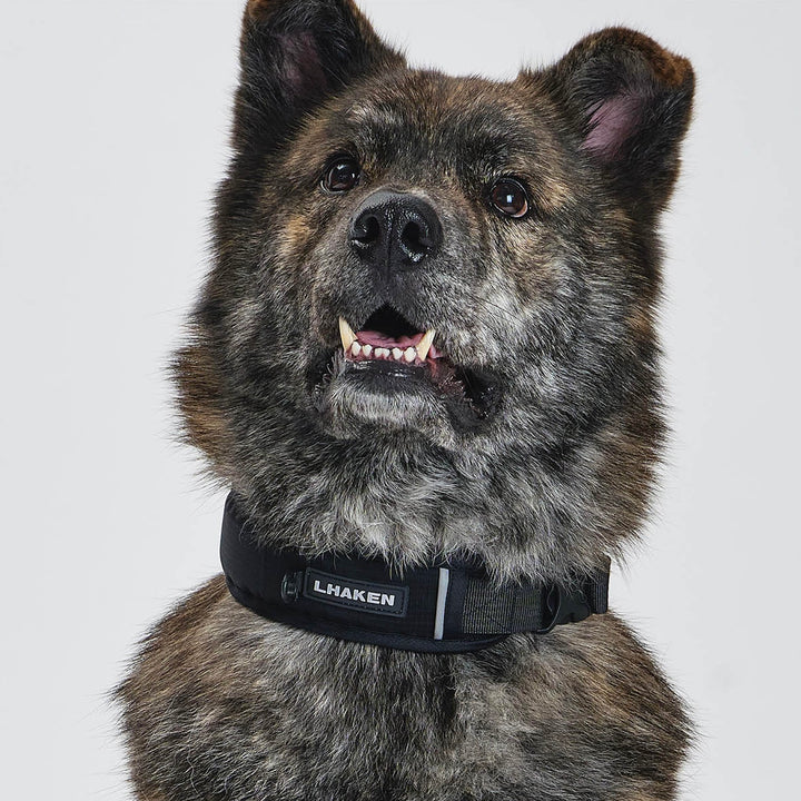 ※予約販売【munikund】TREKTAIL Collar - Black