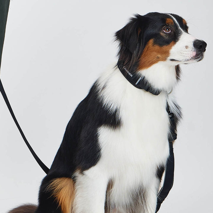 ※予約販売【munikund】TREKTAIL Collar - Black