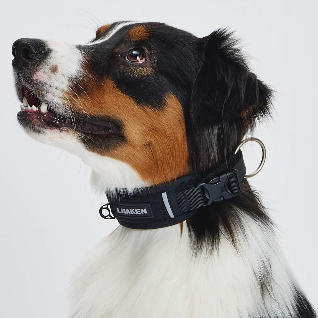 ※予約販売【munikund】TREKTAIL Collar - Black