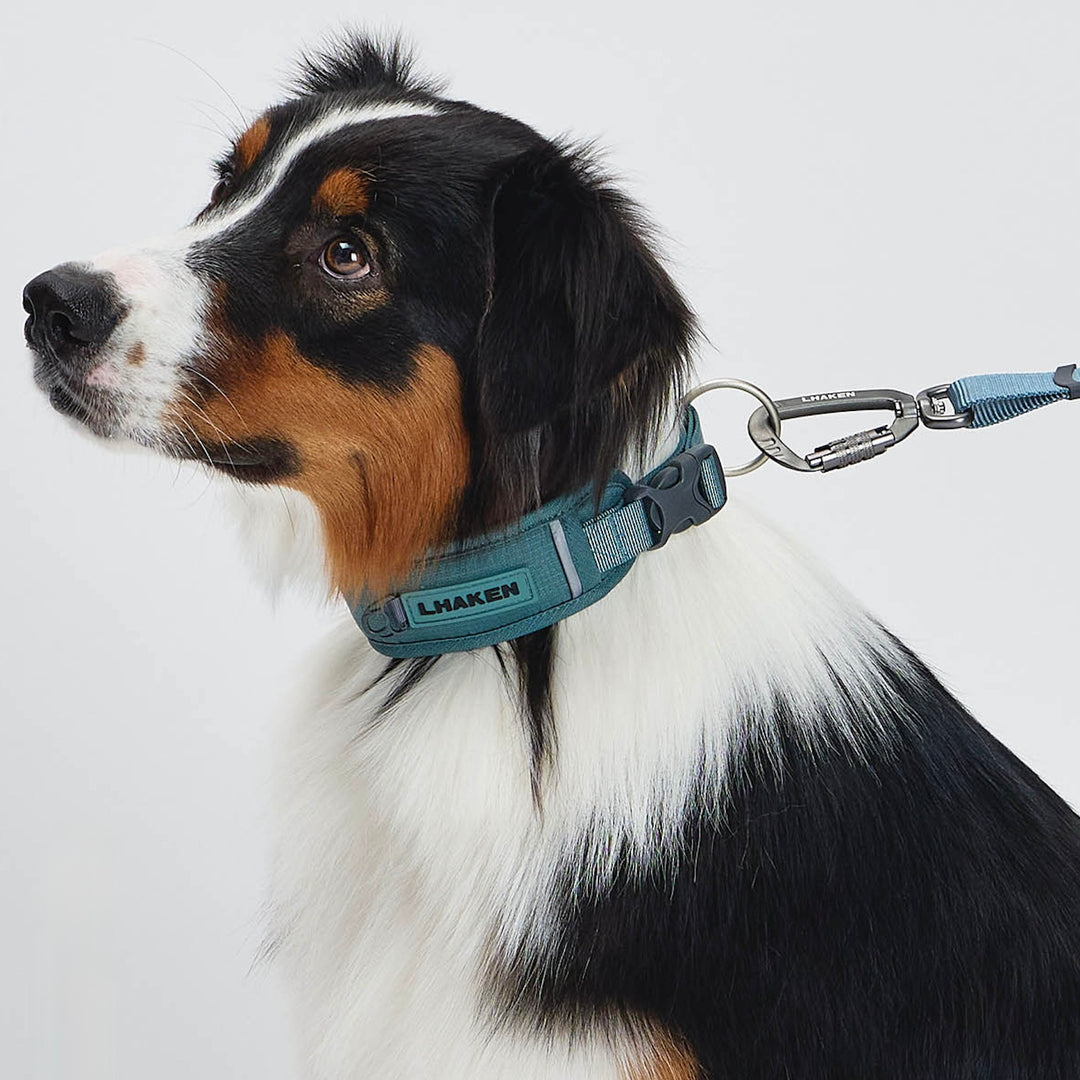 ※予約販売【munikund】TREKTAIL Collar - Khaki