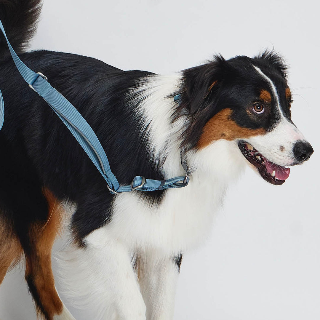 ※予約販売【munikund】TREKTAIL Collar - Khaki