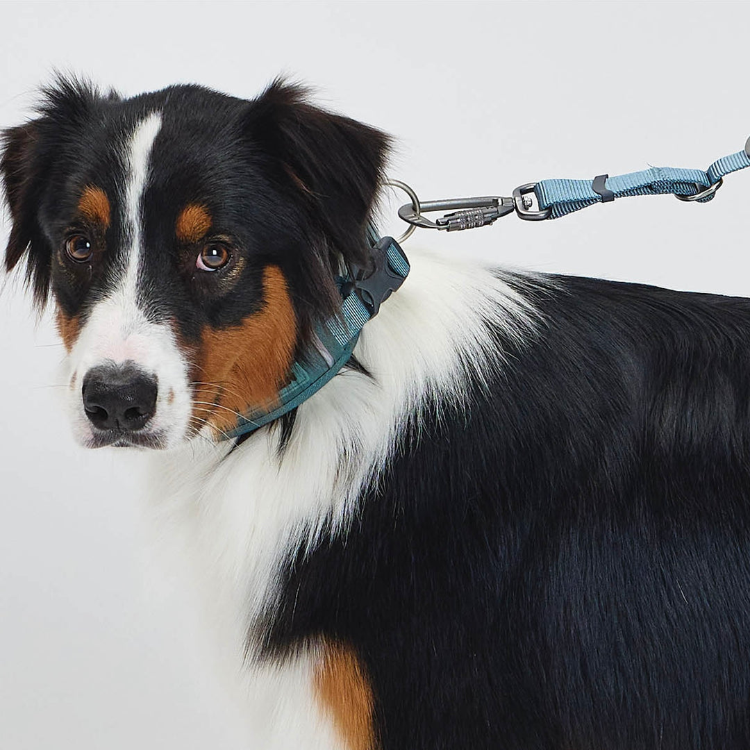 ※予約販売【munikund】TREKTAIL Collar - Khaki