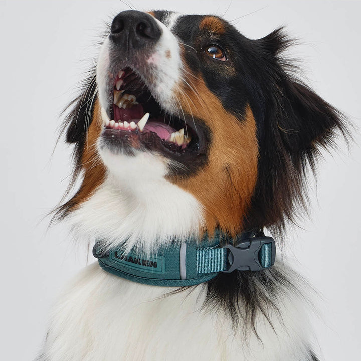 ※予約販売【munikund】TREKTAIL Collar - Khaki