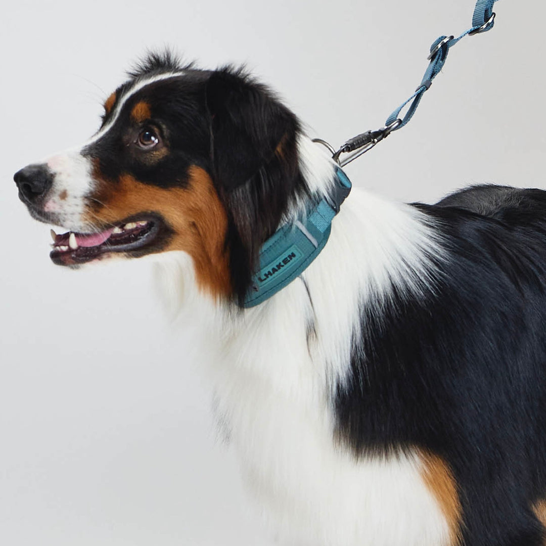 ※予約販売【munikund】TREKTAIL Collar - Khaki