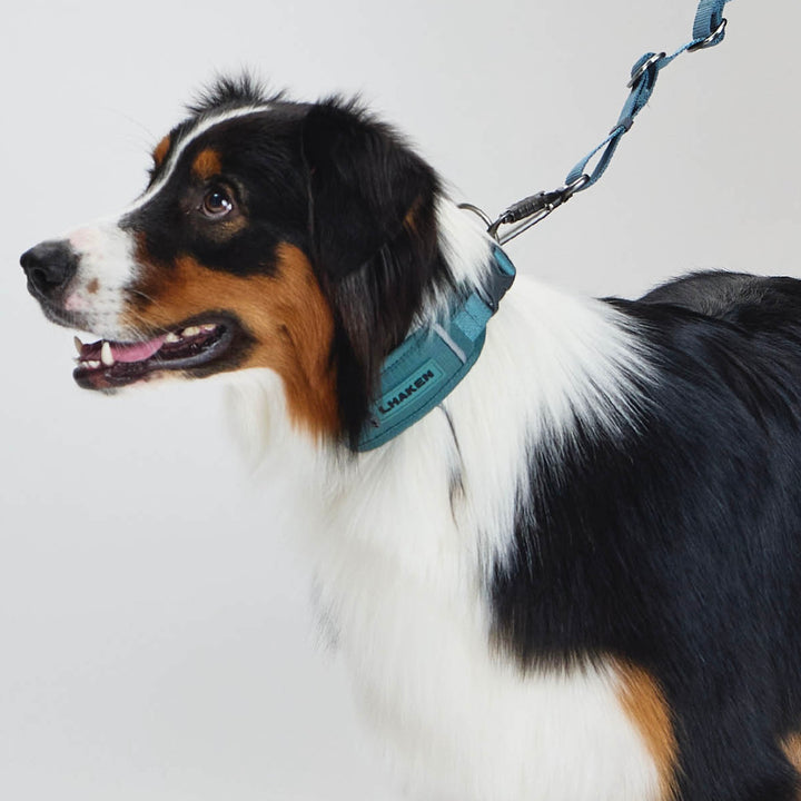 ※予約販売【munikund】TREKTAIL Collar - Khaki