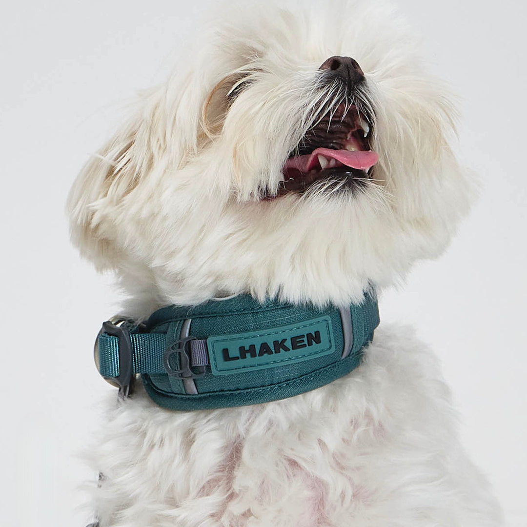※予約販売【munikund】TREKTAIL Collar - Khaki