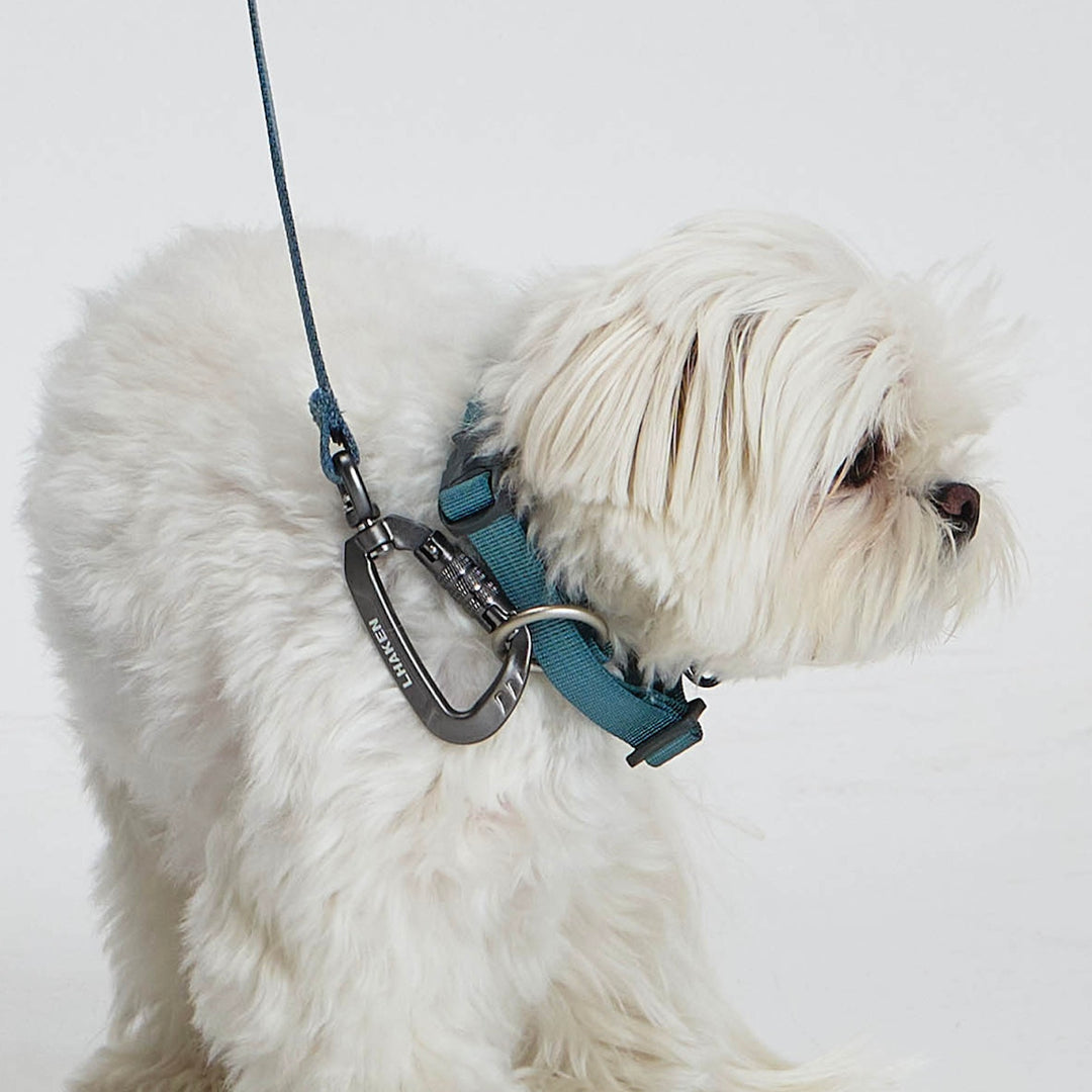 ※予約販売【munikund】TREKTAIL Collar - Khaki