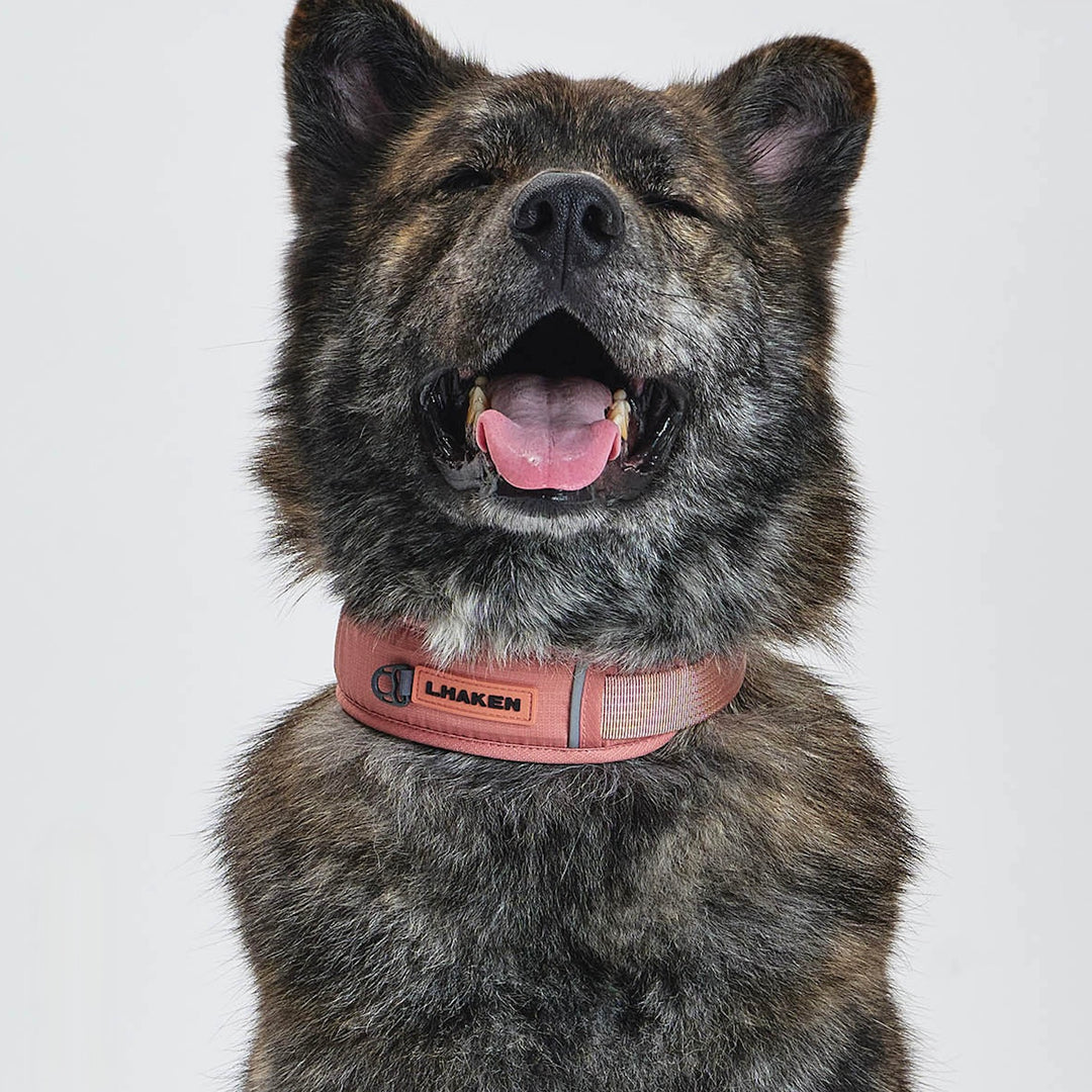 ※予約販売【munikund】TREKTAIL Collar - Pink