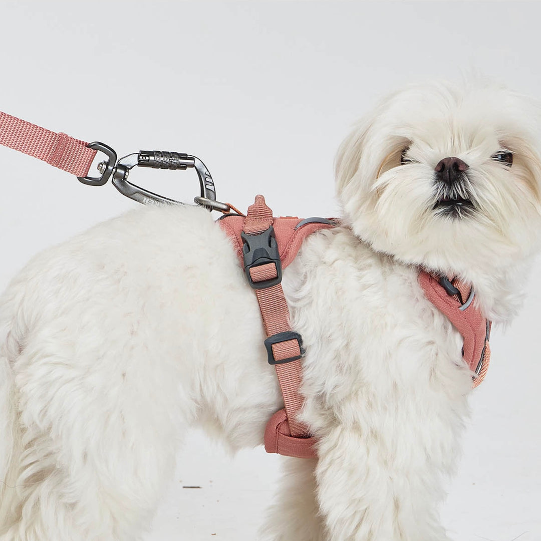 ※予約販売【munikund】REKTAIL Leash - Pink（20mm/1.8M）