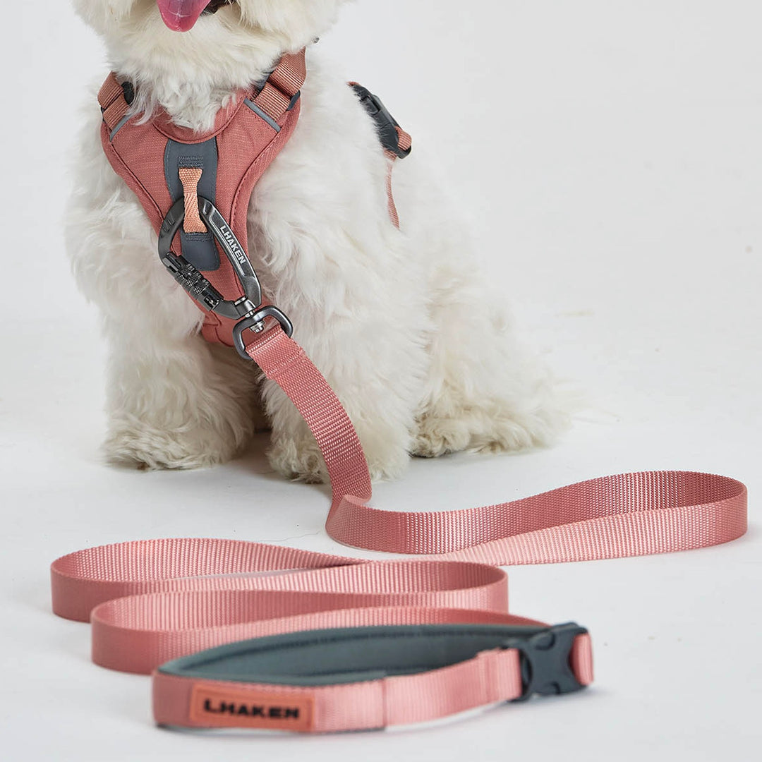 ※予約販売【munikund】REKTAIL Leash - Pink（20mm/1.8M）