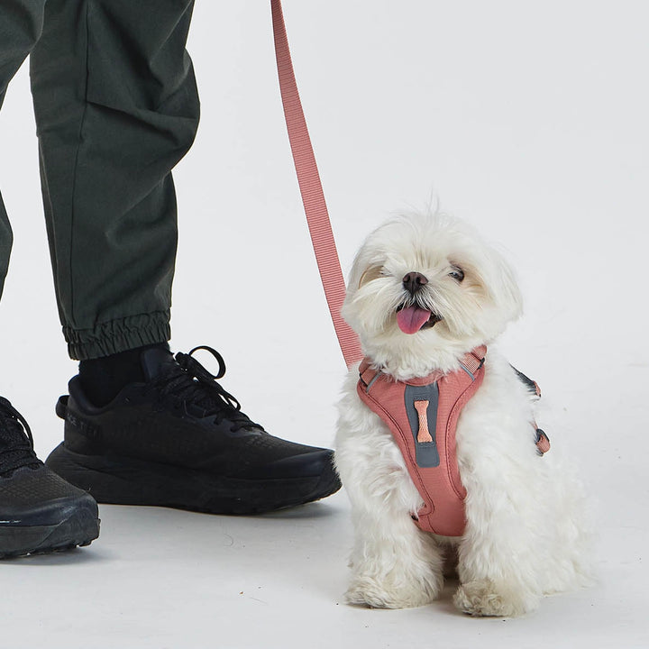 ※予約販売【munikund】REKTAIL Leash - Pink（20mm/1.8M）