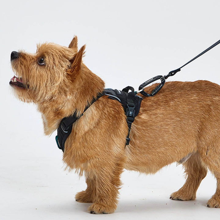 ※予約販売【munikund】REKTAIL Leash - Black（20mm/1.8M）