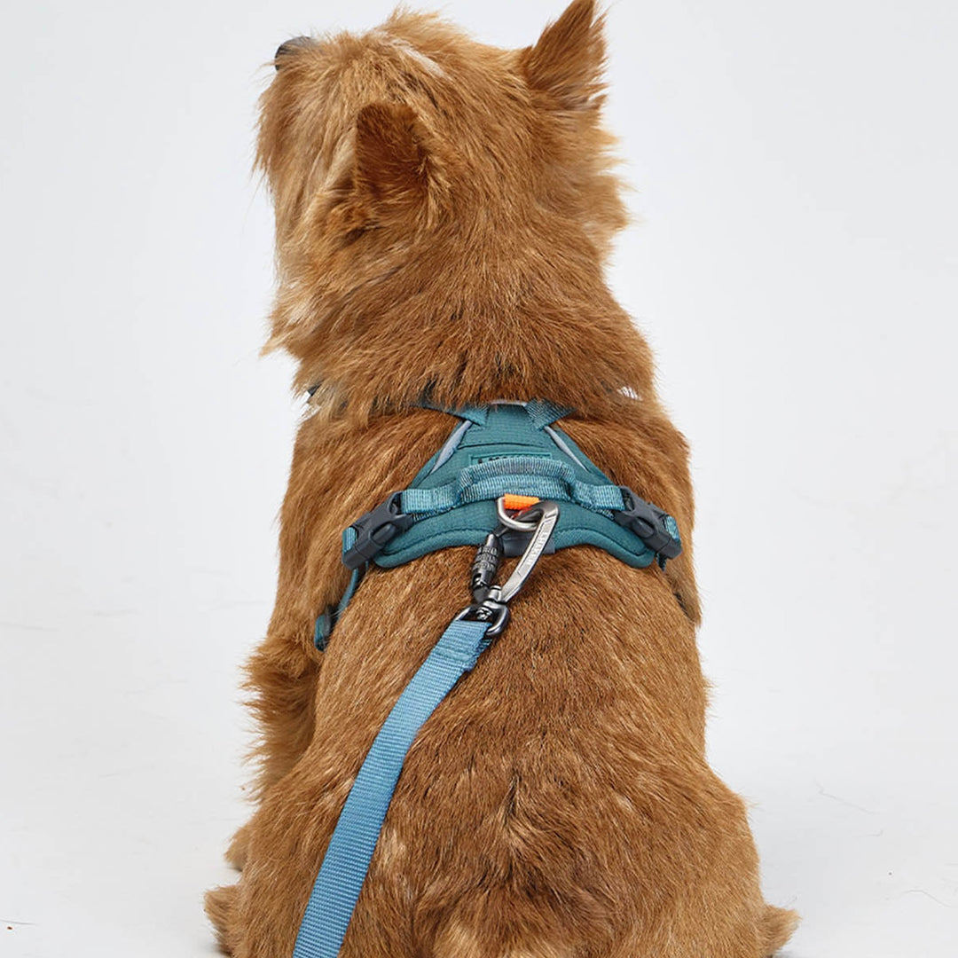 ※予約販売【munikund】REKTAIL Leash - Khaki（20mm/1.8M）