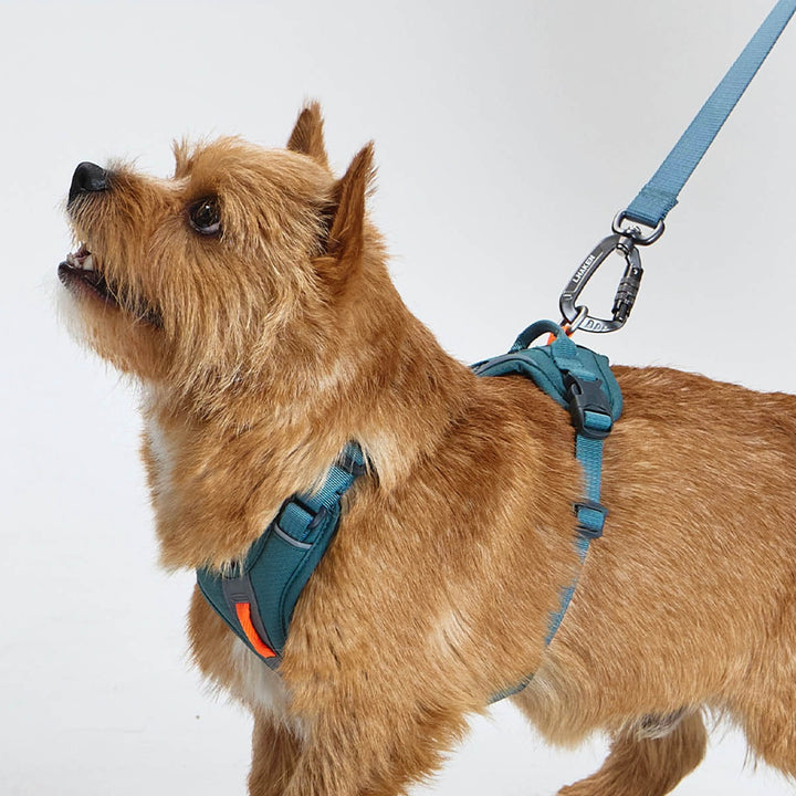 ※予約販売【munikund】REKTAIL Leash - Khaki（20mm/1.8M）