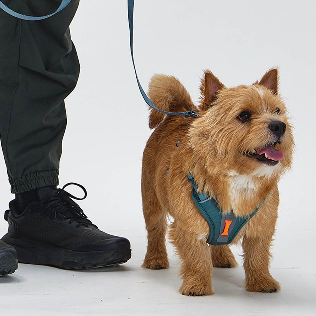 ※予約販売【munikund】REKTAIL Leash - Khaki（20mm/1.8M）