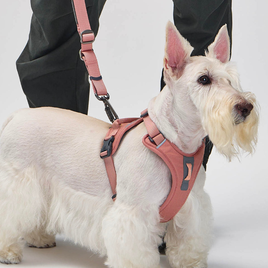 ※予約販売【munikund】REKTAIL Leash Hyper - Pink（25mm/1.8M）