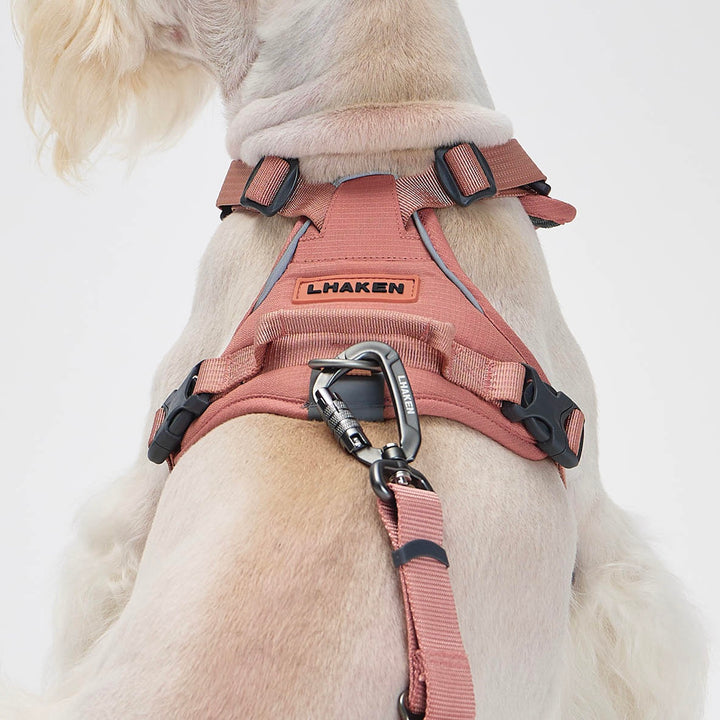 ※予約販売【munikund】REKTAIL Leash Hyper - Pink（25mm/1.8M）