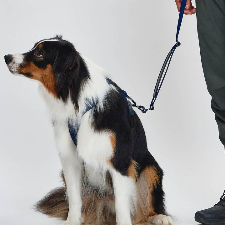 ※予約販売【munikund】REKTAIL Leash Hyper - Navy（25mm/1.8M）