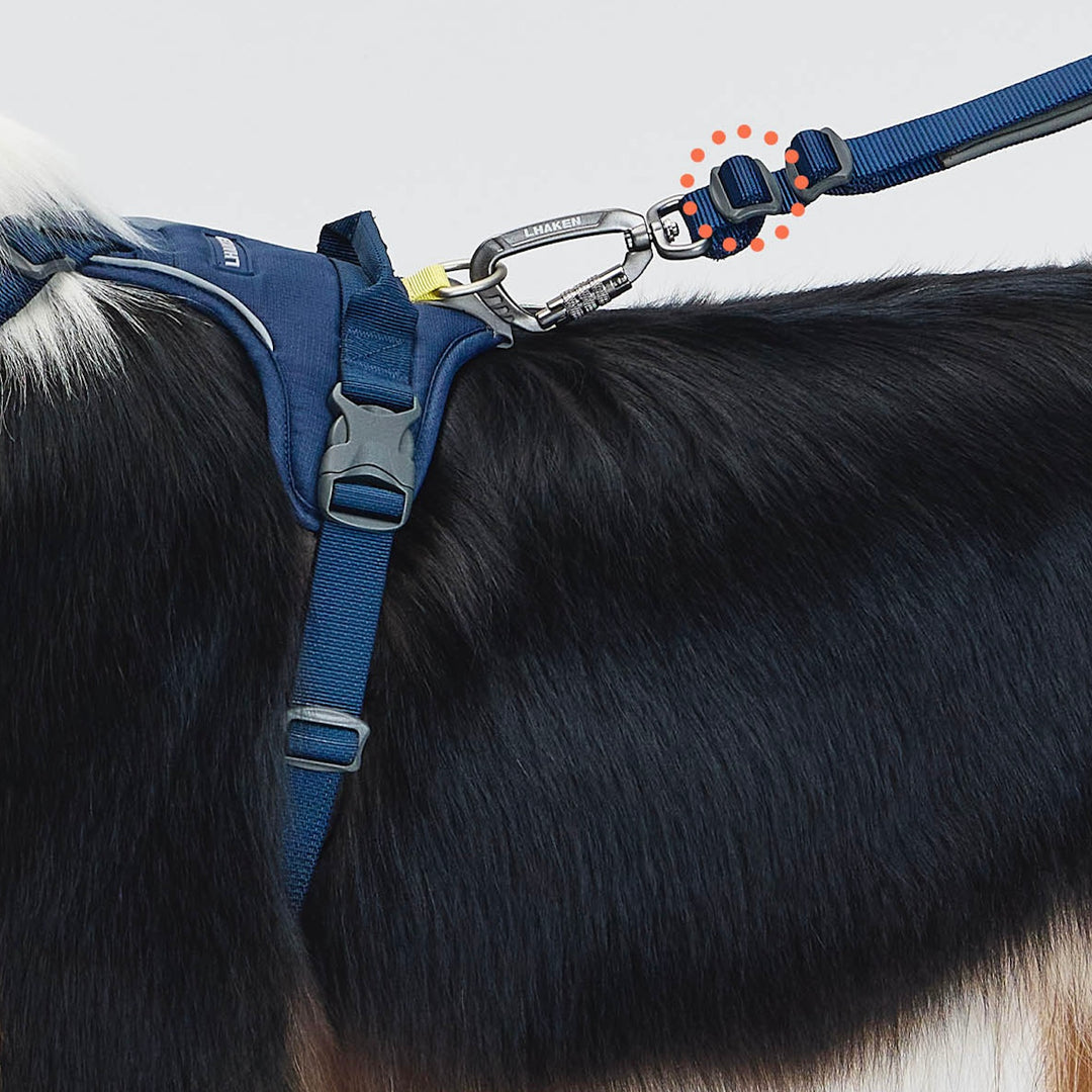 ※予約販売【munikund】REKTAIL Leash Hyper - Navy（25mm/1.8M）