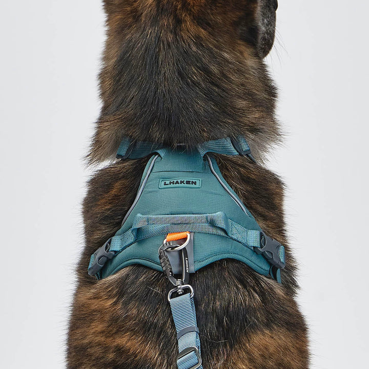 ※予約販売【munikund】REKTAIL Leash Hyper - Khaki（25mm/1.8M）