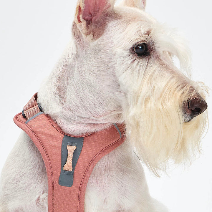 ※予約販売【munikund】TREKTAIL Harness - Pink ｜犬用ハーネス