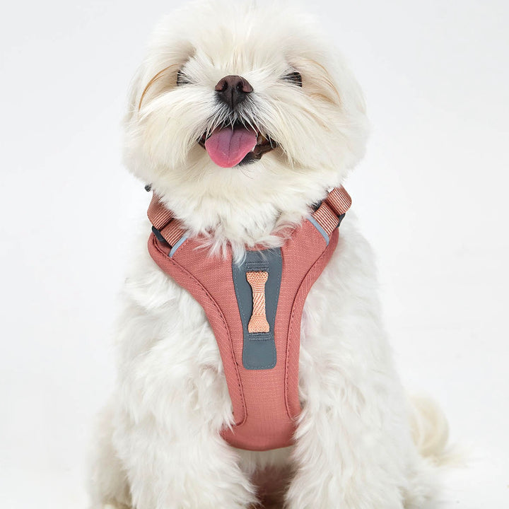 ※予約販売【munikund】TREKTAIL Harness - Pink ｜犬用ハーネス