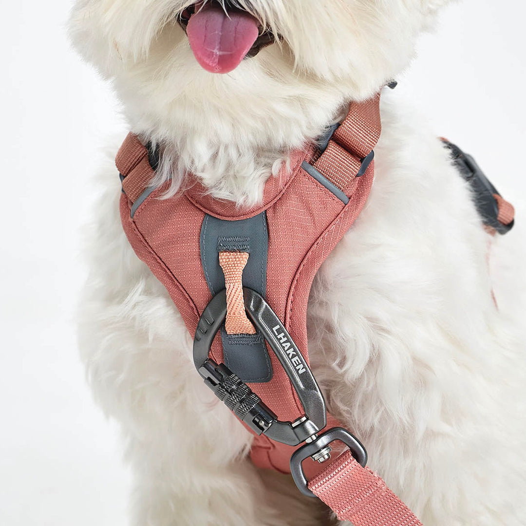 ※予約販売【munikund】TREKTAIL Harness - Pink ｜犬用ハーネス