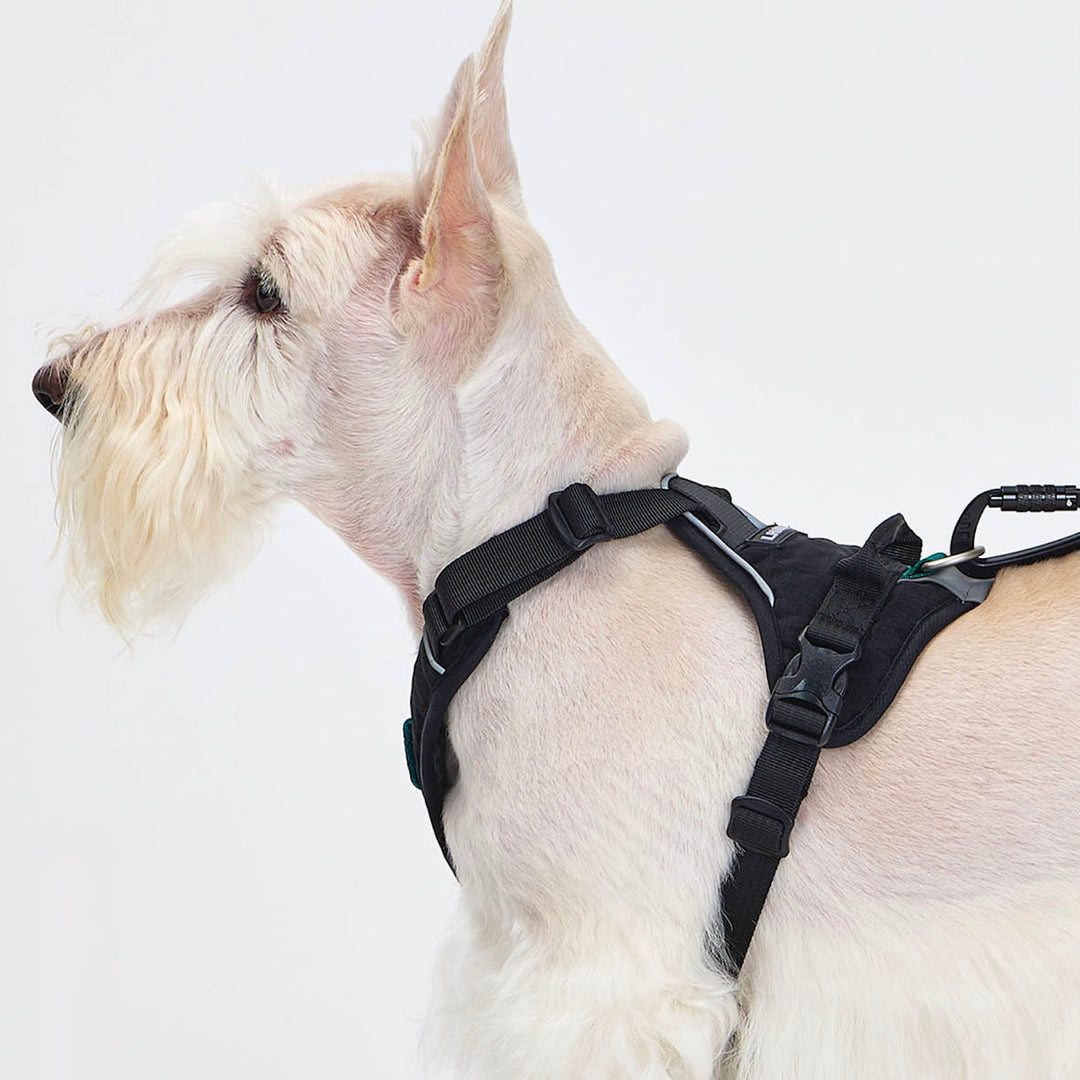 ※予約販売【munikund】TREKTAIL Harness - Black ｜犬用ハーネス