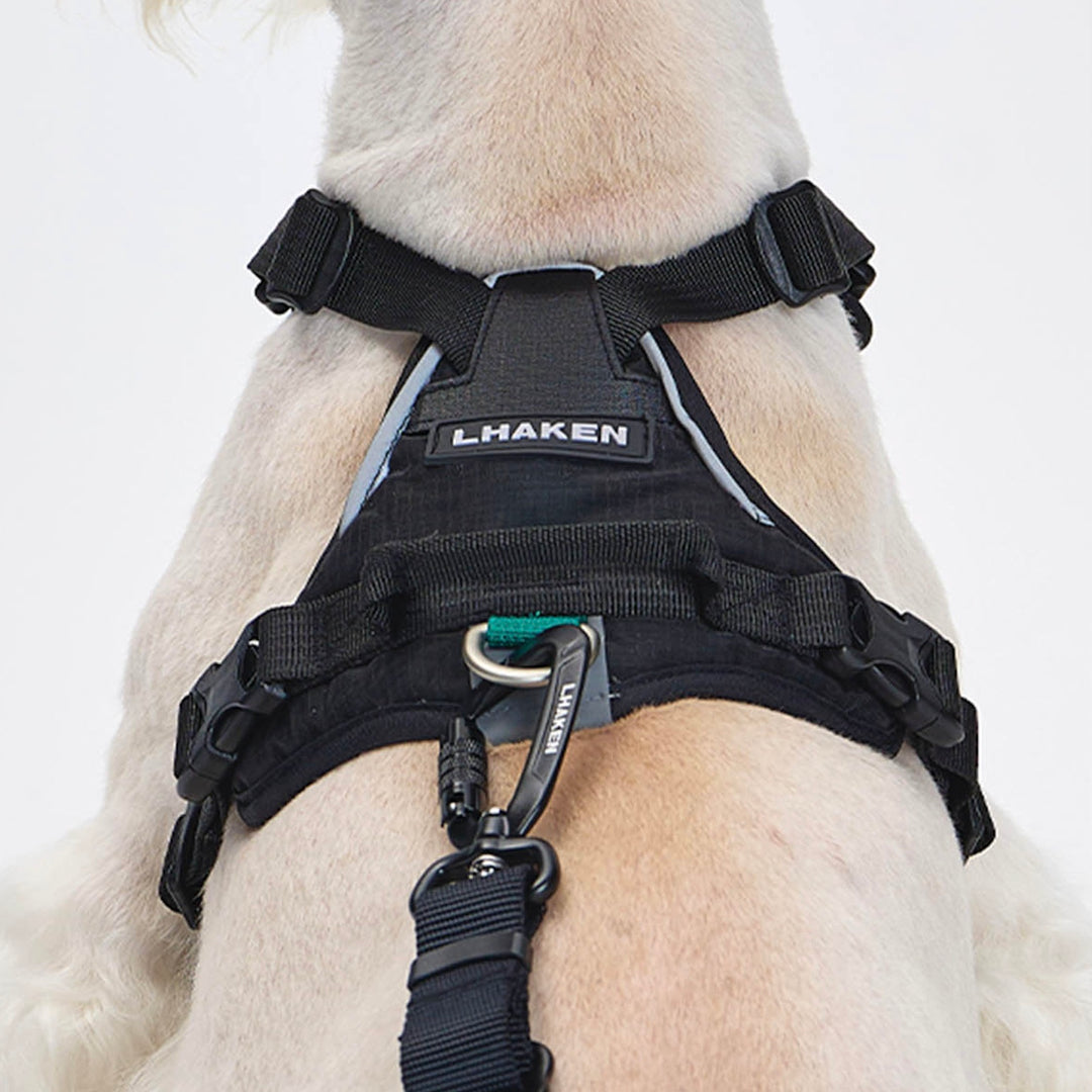 ※予約販売【munikund】TREKTAIL Harness - Black ｜犬用ハーネス