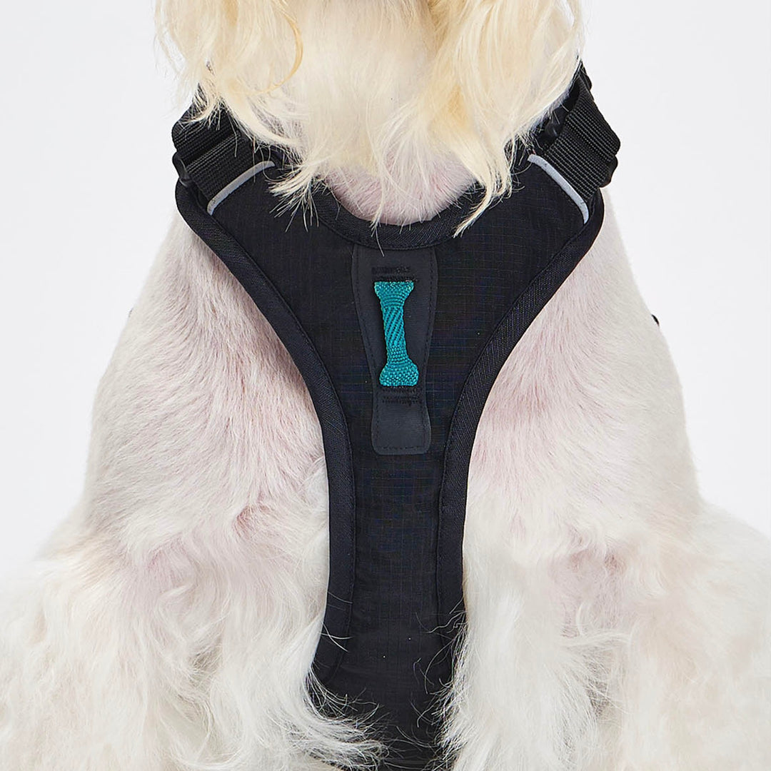 ※予約販売【munikund】TREKTAIL Harness - Black ｜犬用ハーネス