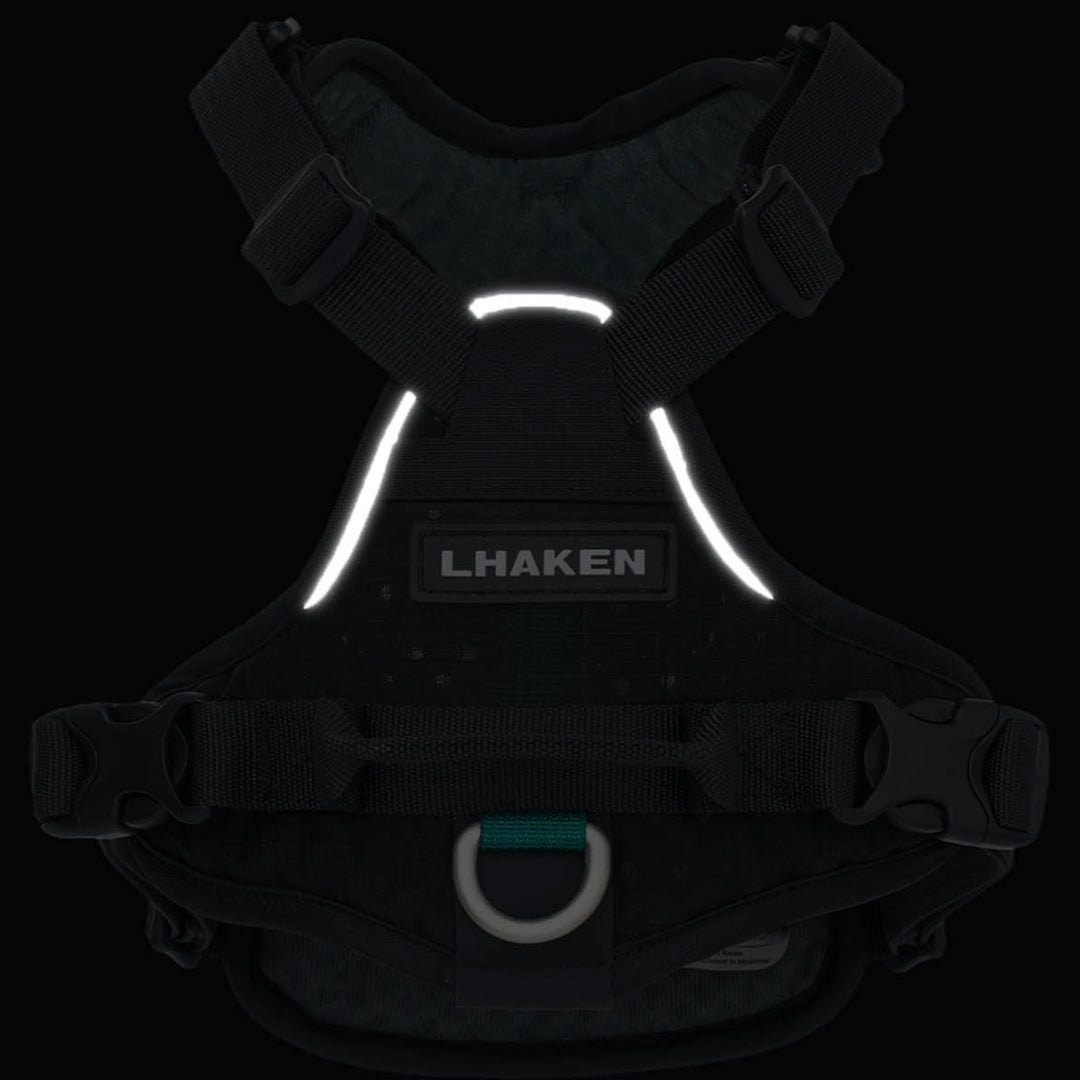 ※予約販売【munikund】TREKTAIL Harness - Black ｜犬用ハーネス