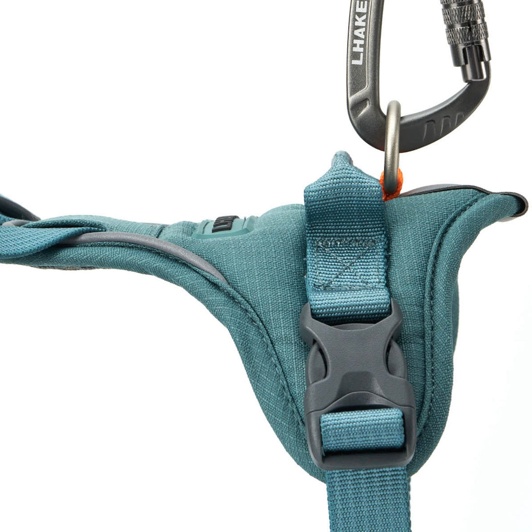 ※予約販売【munikund】TREKTAIL Harness - Khaki ｜犬用ハーネス