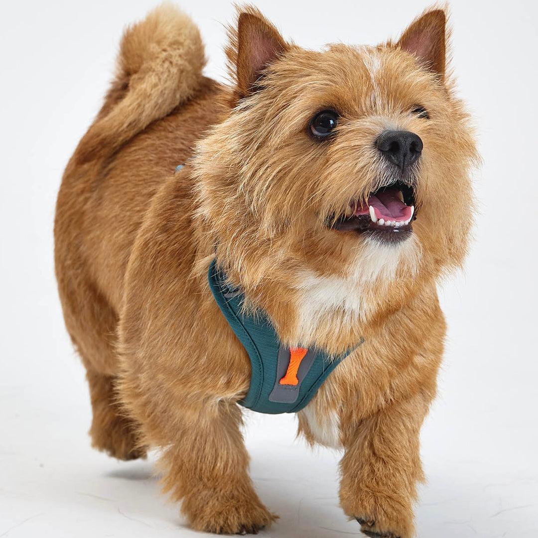 ※予約販売【munikund】TREKTAIL Harness - Khaki ｜犬用ハーネス