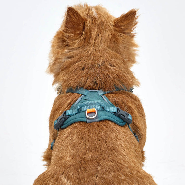 ※予約販売【munikund】TREKTAIL Harness - Khaki ｜犬用ハーネス