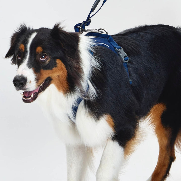 ※予約販売【munikund】TREKTAIL Harness - Navy ｜犬用ハーネス